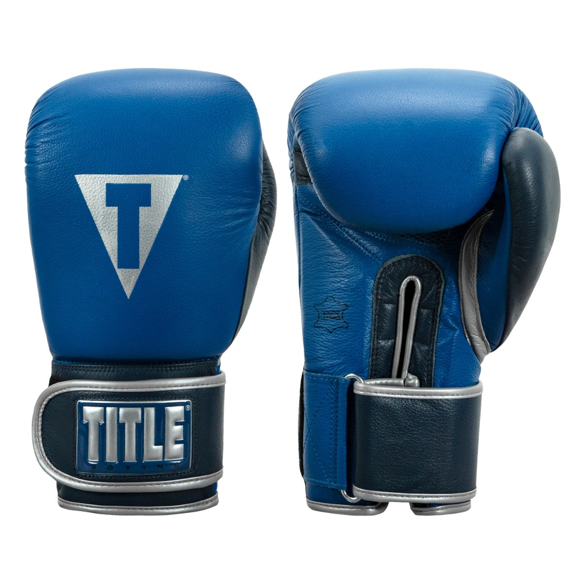 title boxing gloves blue